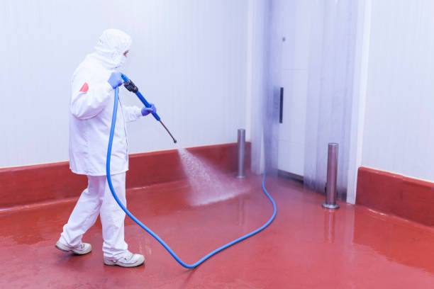 Best Paint Preparation  in Wadsworth, OH